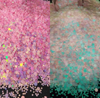 Phyto - Chunky Mix Glow Glitter